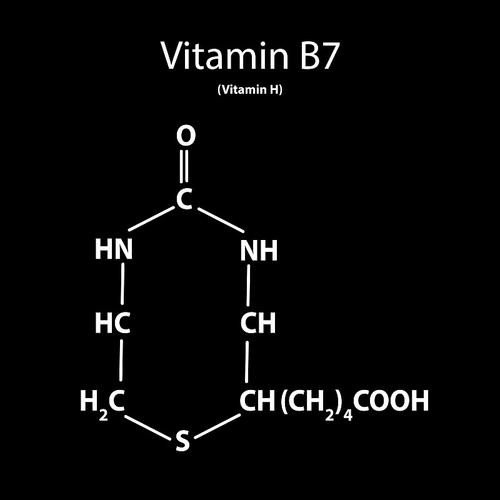 Molecular Structure of Vitamin B7