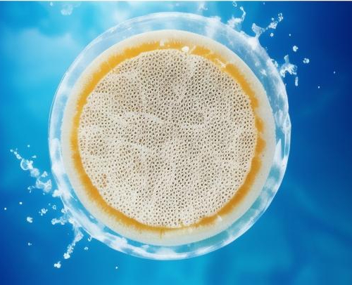 Membrane Filters for Water Purification