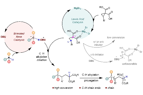 Organic Small Molecule/Metal Cooperative Catalysis
