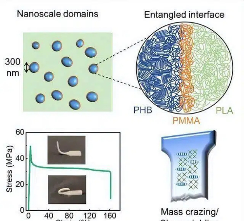 Polymer Blend Phase Structure