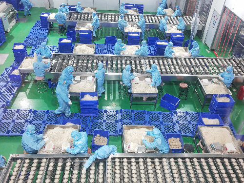 Modern Food Factory Production Line