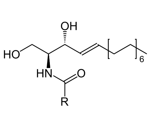 Ceramides