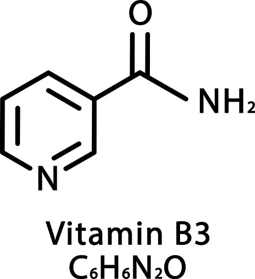 Molecular Structure of Niacinamide